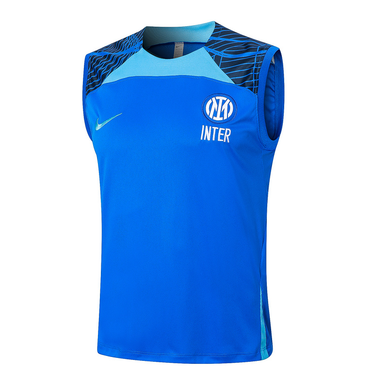 AAA Quality Inter Milan 24/25 Blue Vest Jersey